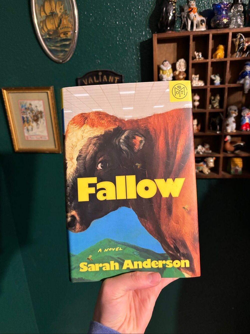 Fallow : A Novel by Sarah Anderson (Hardcover)